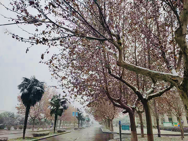 1579080977542402.jpeg 8c52d0e1422c94e4b2b5bcf12536de7.jpg