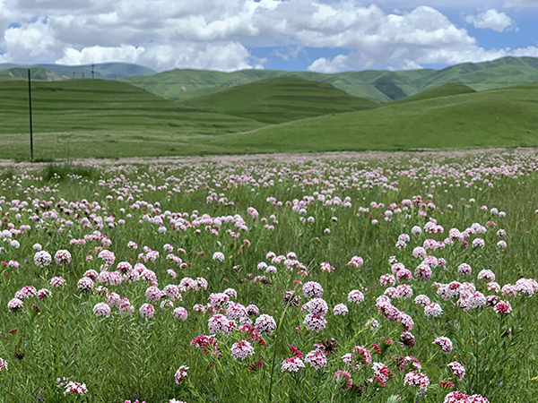 1595413020553718.jpeg 第三自然段后配圖3600.jpg