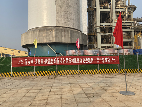 1605259482361339.jpeg 紅與紅6.jpg