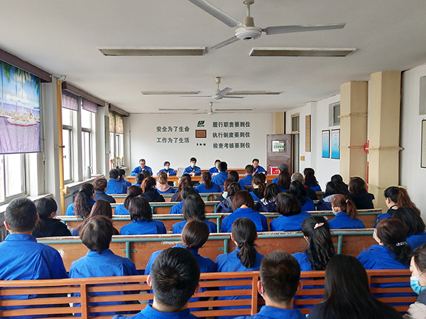 1618285790953556.jpeg 2.jpg