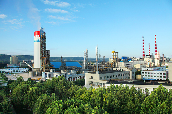 1632616181264821.jpeg IMG_0042.JPG