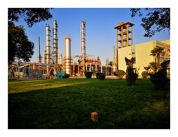 1654150039640048.jpeg IMG_20220601_082954.jpg