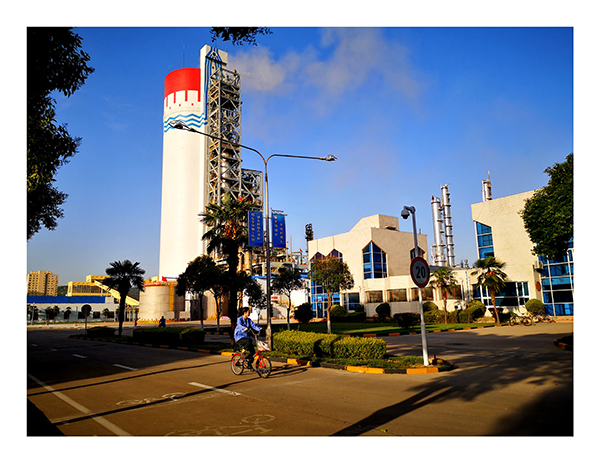 1654150092836148.jpeg IMG_20220601_082713.jpg