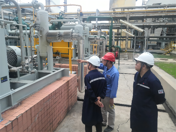 1663309116146479.png d7b5a865139282c903bbcd1f3f78c54(1).png