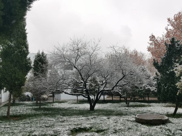 1675842103647174.jpeg 微信圖片_20230208154054.jpg