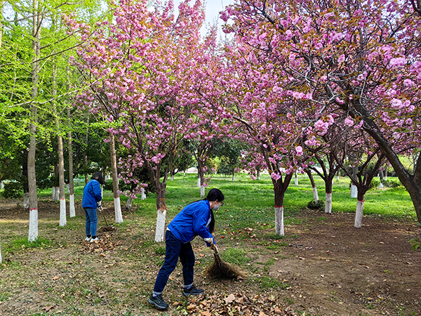 1681118688340476.jpeg 4.10責(zé)任區(qū)衛(wèi)生.jpg