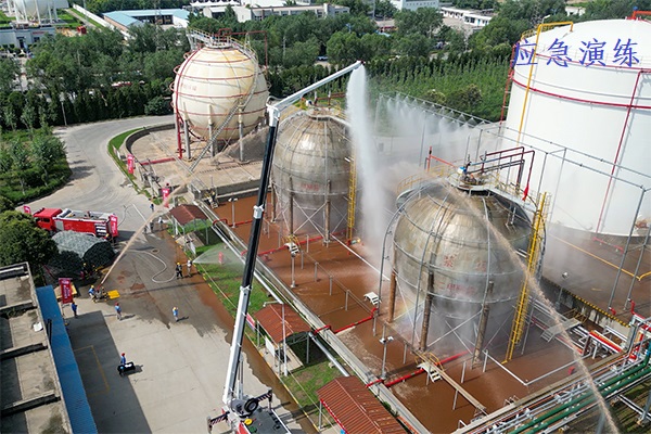 1687341131215019.jpeg 3 600.jpg