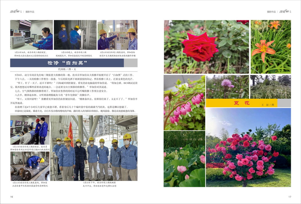 1689836030820205.jpeg (1) (11)_resize.jpg