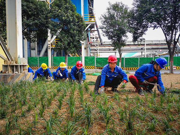 1699323947974192.jpeg eda7ec810631628ca1f8d6106a0f92b 600.jpg