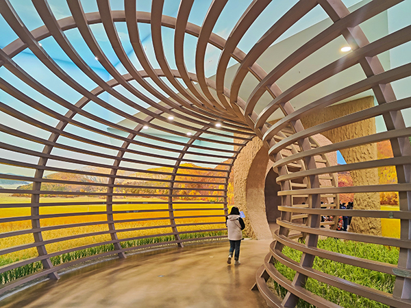 1700189459894573.jpeg 南泥灣6.jpg