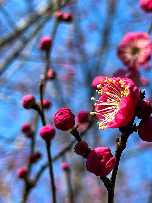 1709862511355948.jpeg cb577325220017027744f8426f5b638.jpg