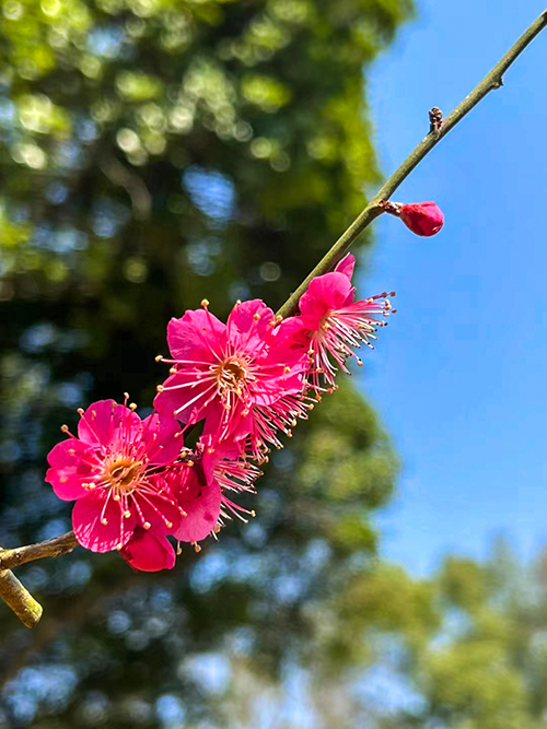 1709862535512329.jpeg 6a4b583db521c09e4e3a89f22054627.jpg