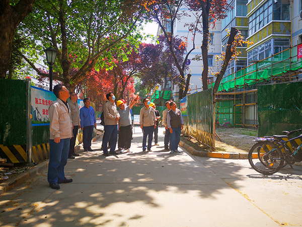 1715246200229491.jpeg IMG_20240508_111122_edit_1325770545488842 600.jpg