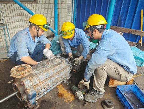 1724718088931835.jpeg IMG_20240826_084044.jpg