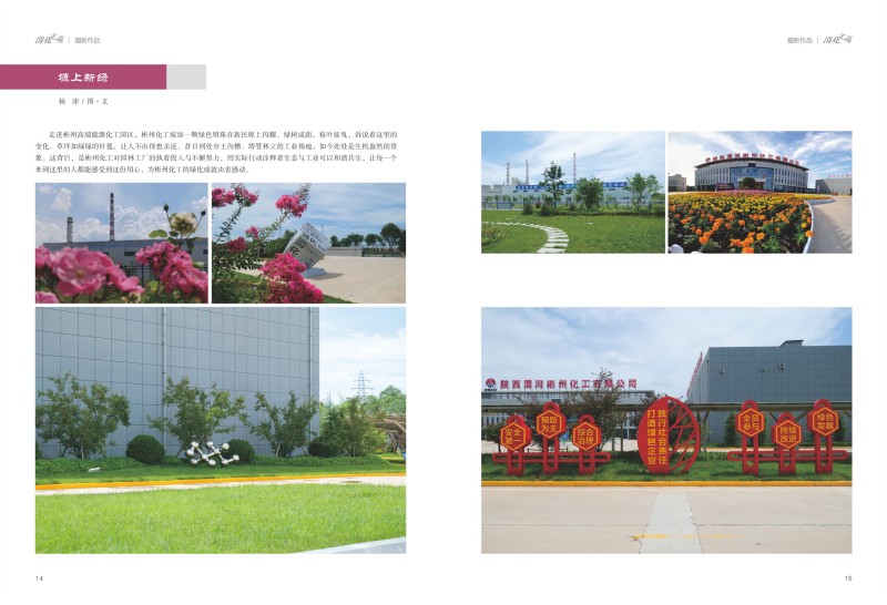 1729562157692347.jpeg (10).jpg