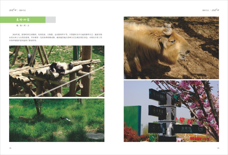 1729562202603109.jpeg (12).jpg