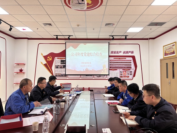 2024年11月5日，支部參加公司年度黨建檢查.jpg