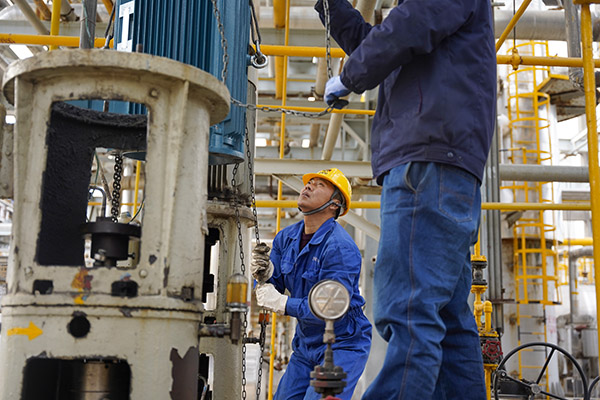 1736996397416787.jpeg _DSC4719.JPG