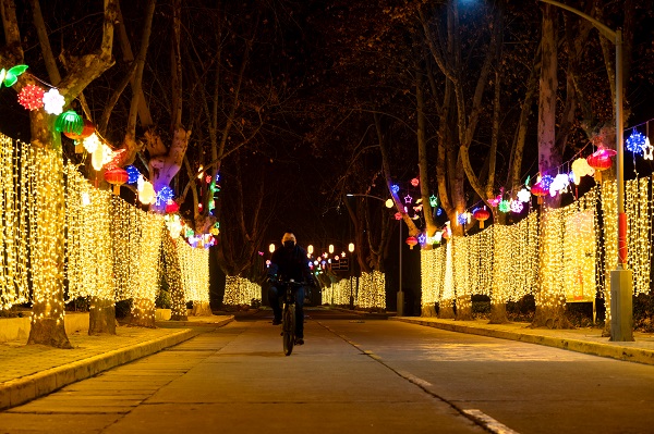 1738282932335039.jpeg 上班路上經(jīng)過生活區(qū)亮化彩燈處抓拍.jpg