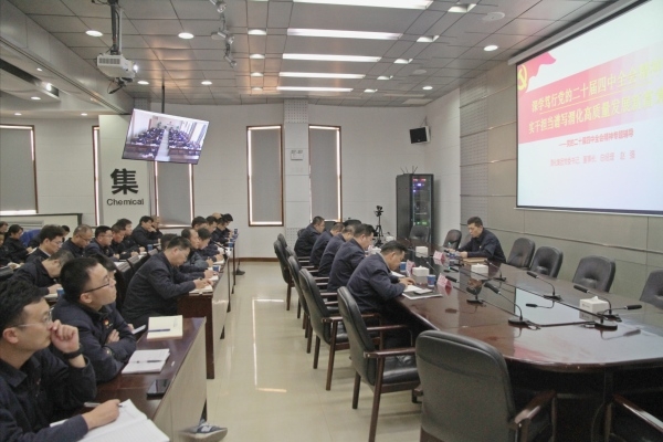 集團公司黨委書記、董事長、總經(jīng)理趙強專題宣講黨的二十屆四中全會精神