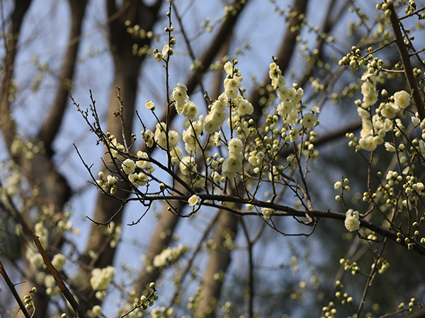 141741932570905669.jpg 微信圖片_20250314095043.jpg