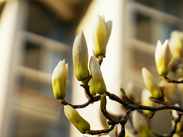 071744022102121909.jpg 8 副圖.jpg