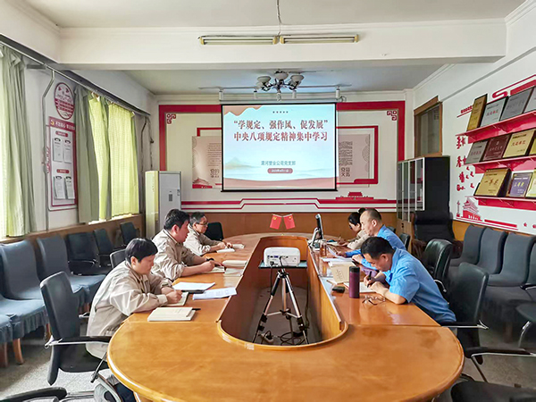 4月11日，渭河塑業(yè)公司全體黨員集中學(xué)習(xí)中央八項(xiàng)規(guī)定精神.jpg